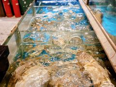 水产区-鲜炉季港式打边炉(尚海湾店)