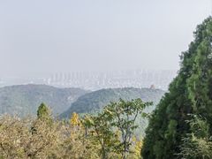 -府君山公园
