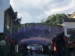 -婺源梦里老家大型山水实景演出