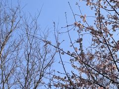 -新江湾城公园