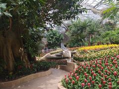 -南山植物园