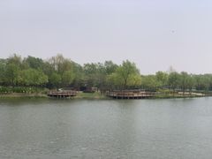 -东郊湿地公园