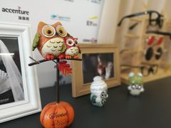 -猫头鹰照相馆(国贸店)