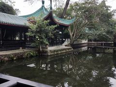 -桂湖森林公园