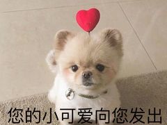-釜山火炉韩式炭火烤肉(欧洲城店)