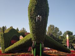 -大兴滨河森林公园