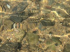 -千岛湖九龙溪漂流