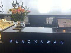 -BLACKSWAN黑天鹅(环球店)