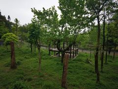 -碧峰峡风景区