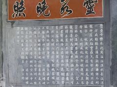 -靖西鹅泉风景区
