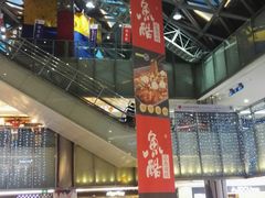 -鹏欣水游城