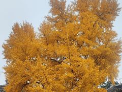 -承恩寺