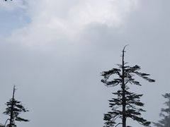 -瓦屋山景区