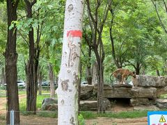-秦皇岛野生动物园