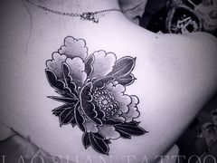 -南京同仁堂(中华路店)