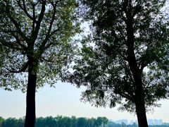 -汉长安城未央宫国家考古遗址公园