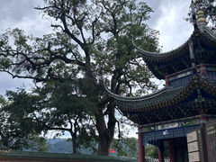 -南华禅寺