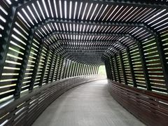 -昆山城市生态森林公园