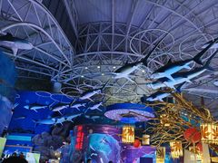 -烟台海昌鲸鲨海洋公园