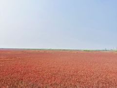 -红海滩国家风景廊道