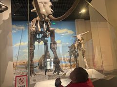 -国家自然博物馆