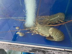 -泰华海鲜中餐厅(普吉镇店)