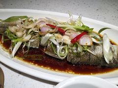 -千日贺茶餐厅(高新万达店)