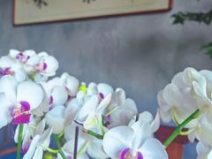 -瑞辰茶空间·商务·掼蛋·活动 (团结湖店)