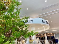 -MuseMarry婚纱(前海嘉里中心店)