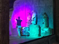 -清迈夜间动物园