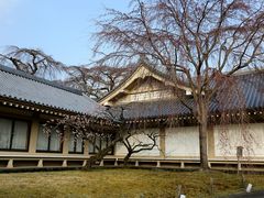 -醍醐寺