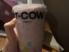 -一只酸奶牛(八一路店)