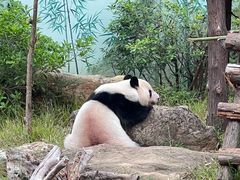 -南宁市动物园