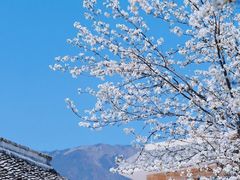 -阿坝州汶川特别旅游区