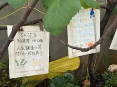 -橡皮书店(翠湖北路店)