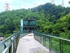 -南山植物园