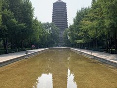 -玲珑塔公园