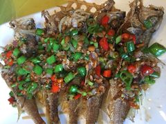 -旺涛人家(三水湾店)