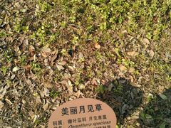 -新江湾城公园