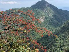 -三清山风景名胜区