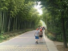 -天目湖御水温泉·度假酒店