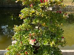 -南山风景名胜区