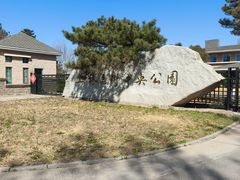 -上林马术中央公园·户外露营·团建·骑乘