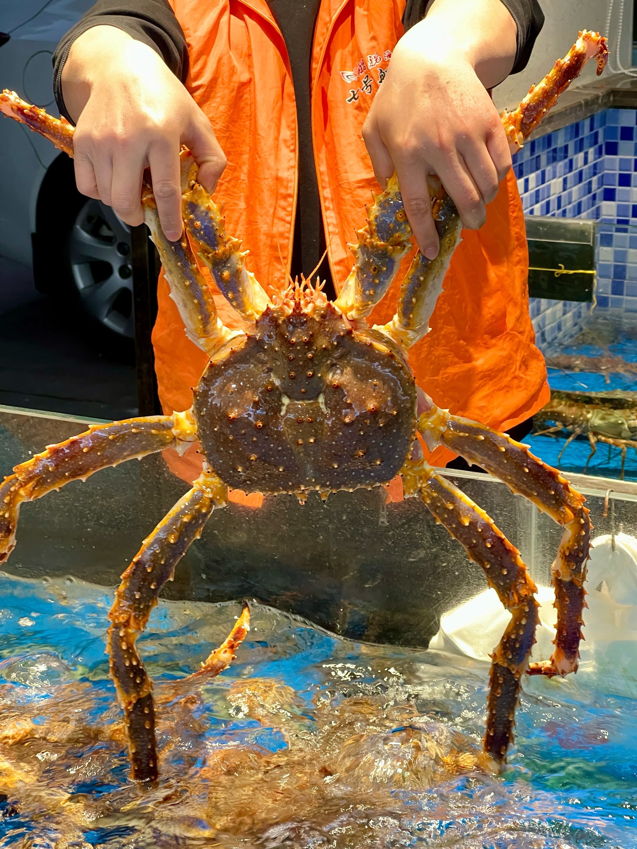 海鲜超度-海鲜超市英文翻译是什么