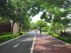 -南宁南湖公园