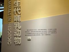 -国家自然博物馆