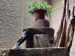 -汤泉良子·颂钵疗愈·SPA(珠江新城店)