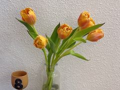 -Homie Canteen(机场路一巷店)