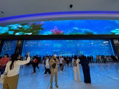 -迪拜水族馆及水下动物园