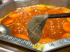 -蜀九香火锅(九眼桥店)